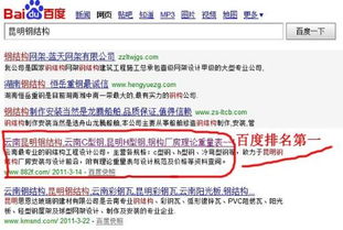 昆明网站建设的公司哪家好 最好能做了网站然后再附带网站推广服务的公司